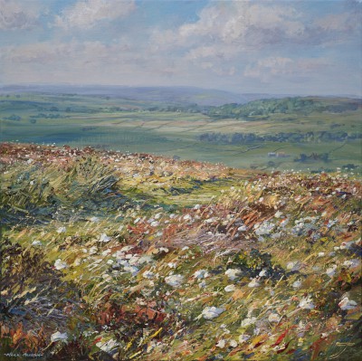Pathway through the Cottongrass, Longstone Moor